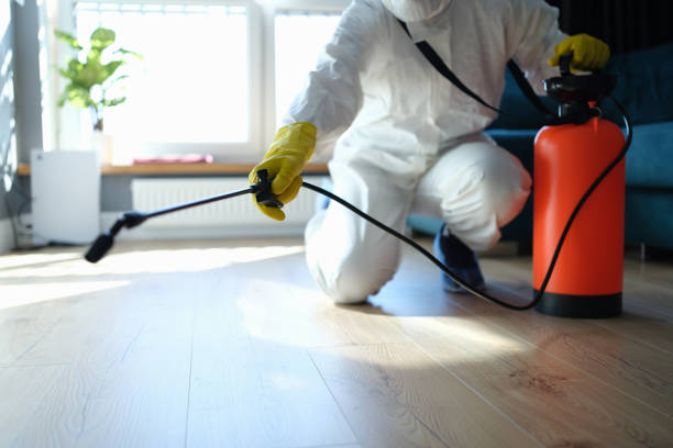Reliable Trauma Scene Cleanup contractor in Camp Nelson, CA by Crime Scene Cleaner Online